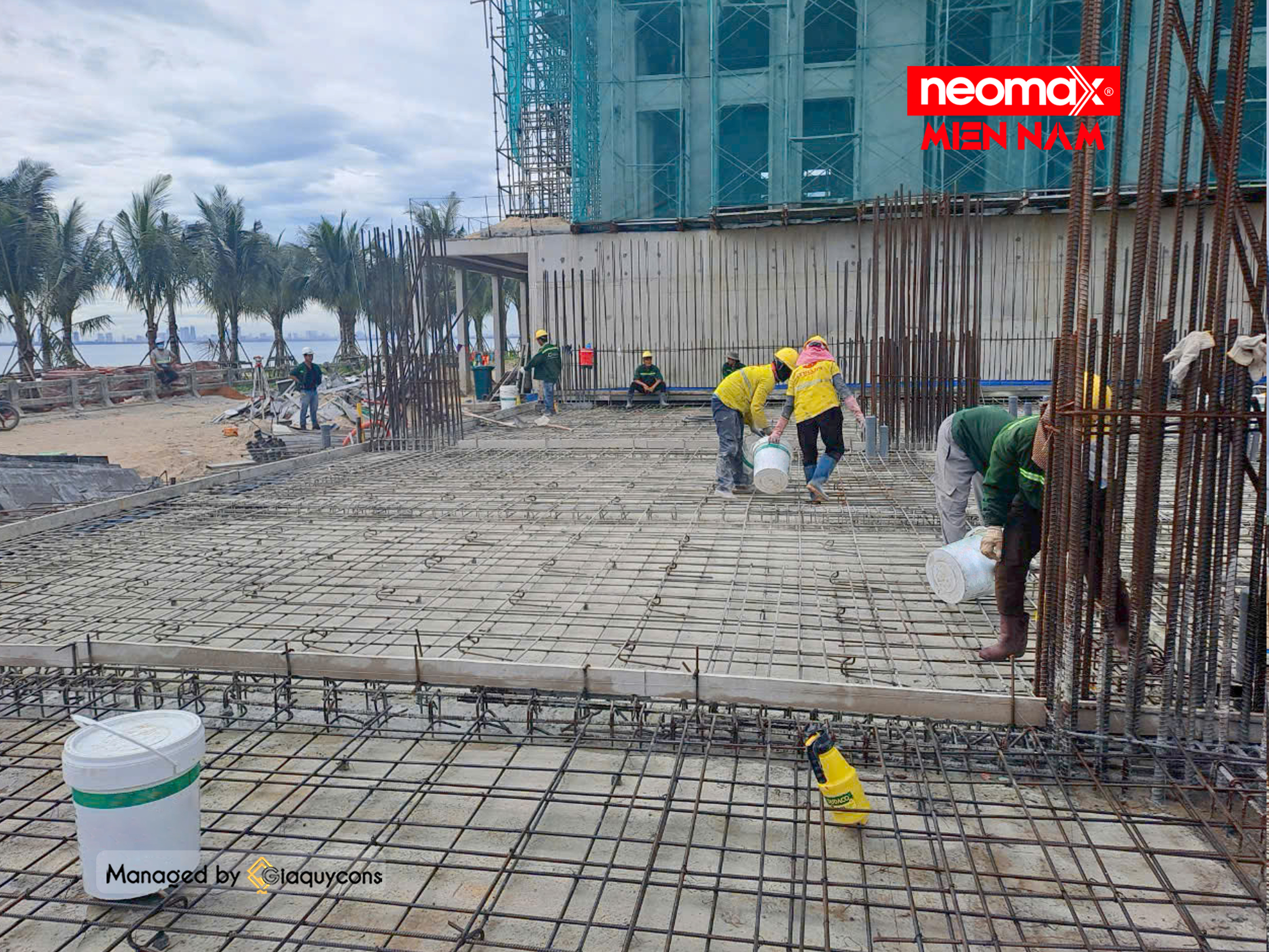 Neomax Crystal DS Thi công Neomax Crystal DS