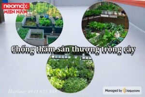 chống thấm sân thượng để trồng cây hiệu quả