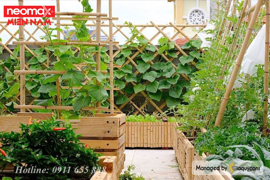 Lợi ích tuyệt vời khi thiết kế vườn rau trên sân thượng